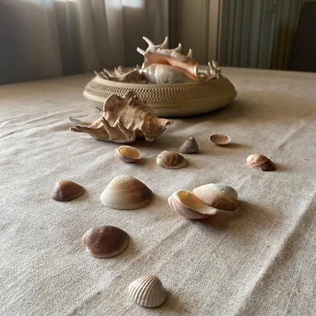 La Ficcacia * Santa Teresa di Gallura